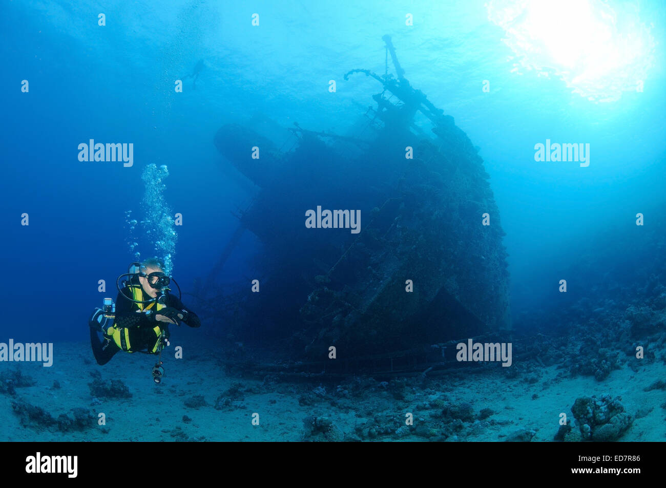 Diver à wreckship à Gianis D. Mer Rouge, Sharm El Sheikh, Egypte Banque D'Images
