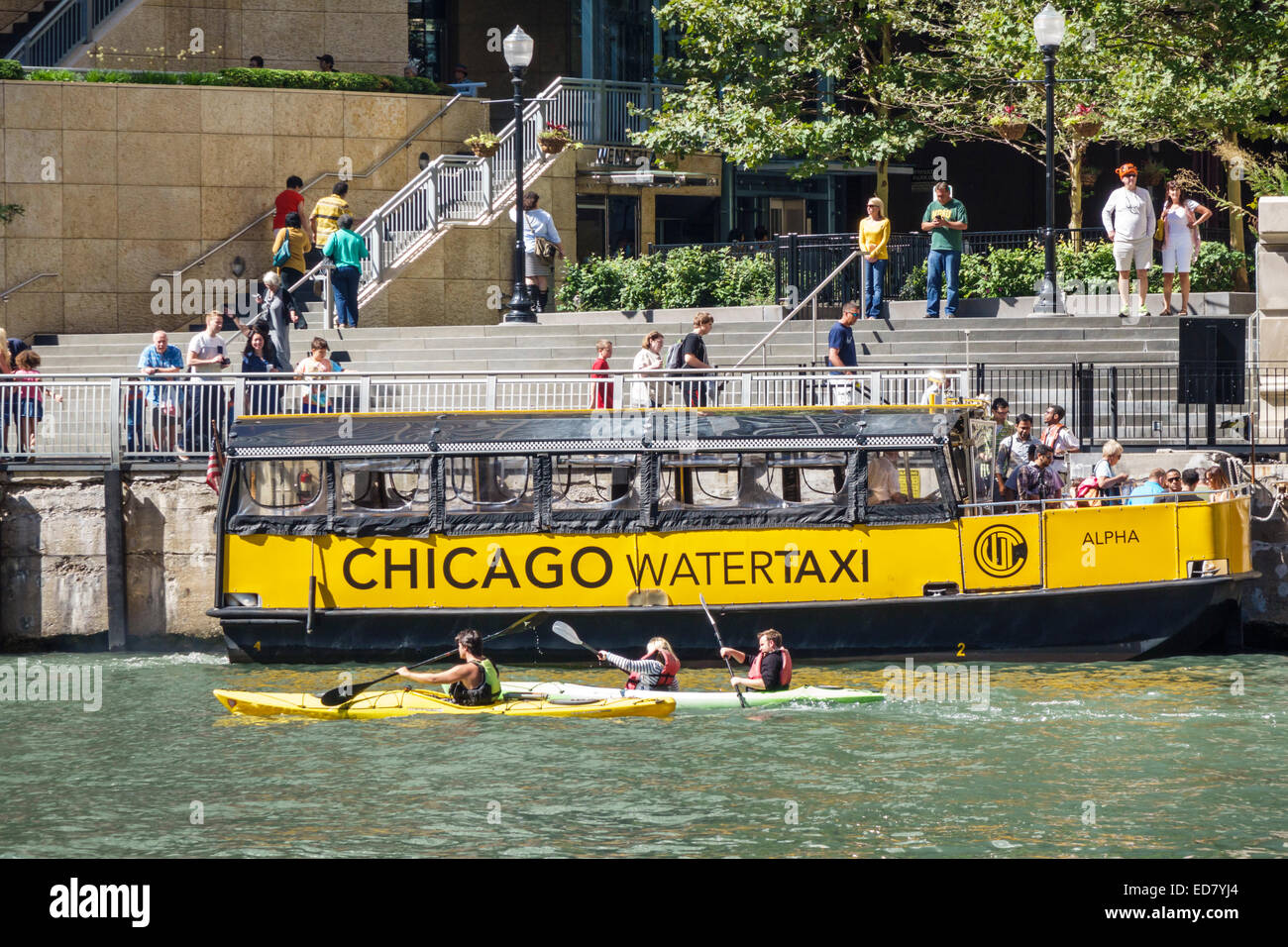 Chicago Illinois, Chicago River, centre-ville, River North, horizon de la ville, gratte-ciels, Riverwalk, bateau, bateau-taxi, kayak, kayakistes, IL140906117 Banque D'Images