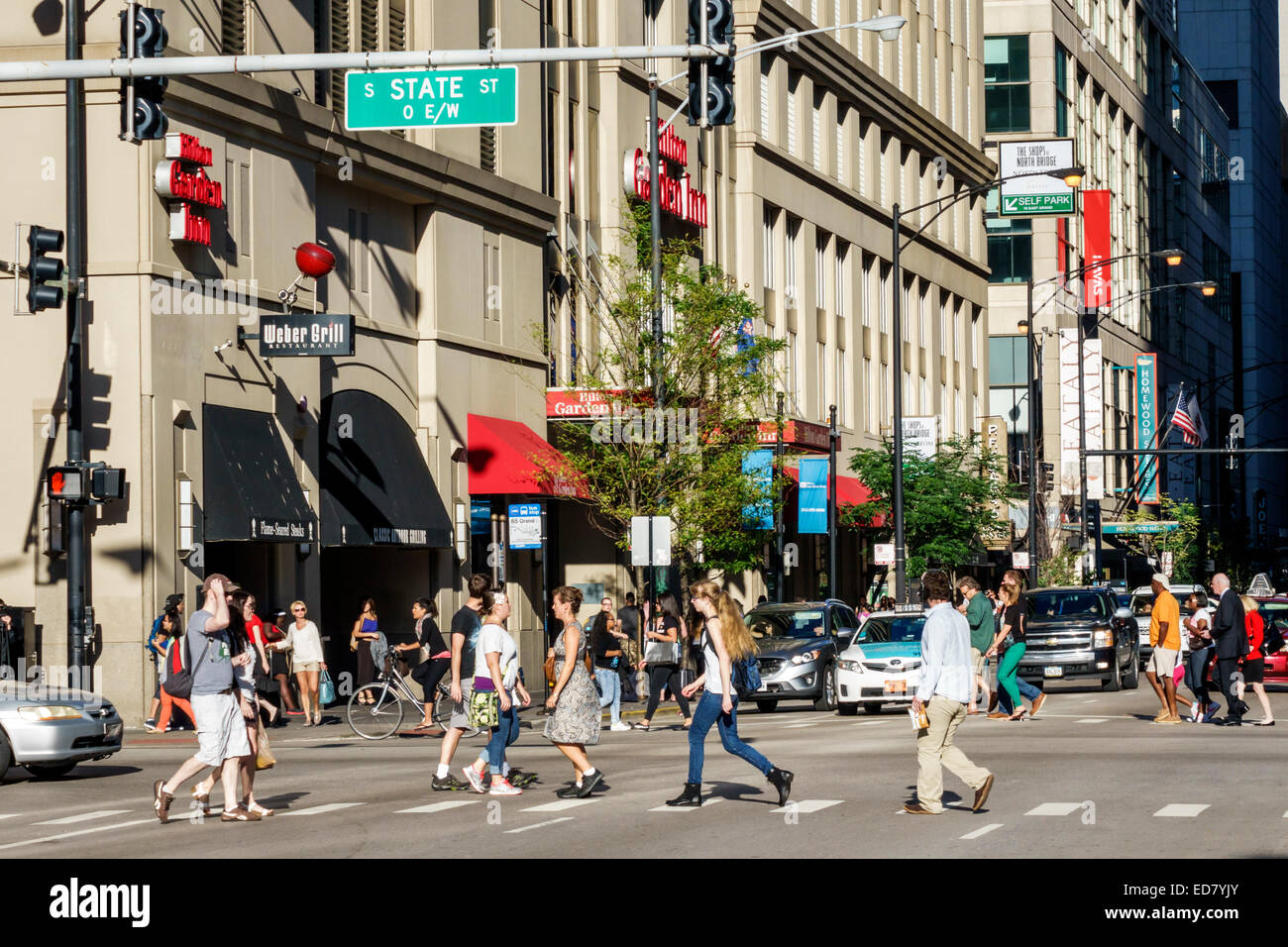 Chicago Illinois, River North, centre-ville, South State Street East Grand Avenue, trafic, bâtiments, urbain, IL140906150 Banque D'Images