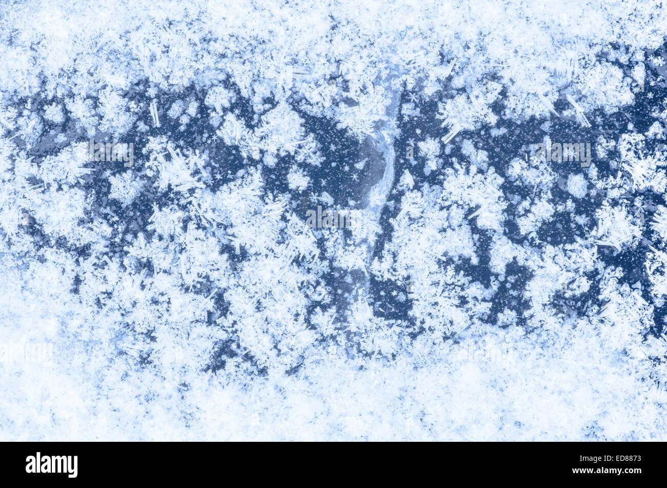 Les flocons blancs sur la glace bleue Banque D'Images