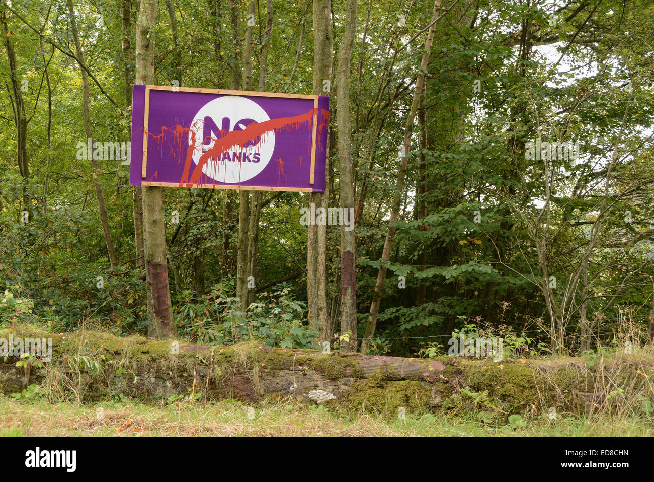2014 Référendum sur l'indépendance écossaise - vandalisé purple 'Non merci' signe par le bas-côté de la route dans la région de Stirlingshire, Ecosse, Royaume-Uni Banque D'Images