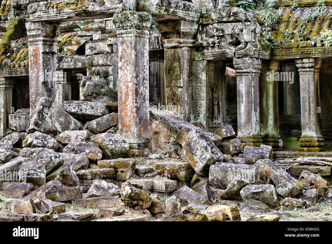 Ta Prohm Temple, Angkor, Cambodge Banque D'Images
