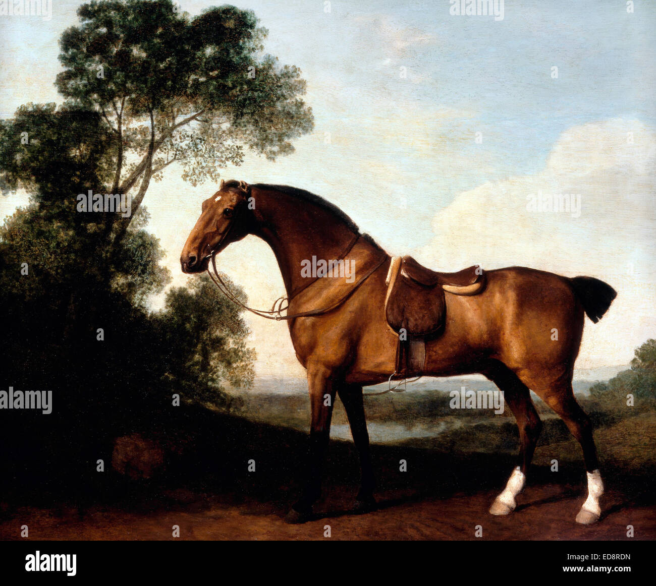 George Stubbs, un supporter Bay Hunter 1786 Huile sur panneau. Musée d'Art de Denver, Etats-Unis. Banque D'Images