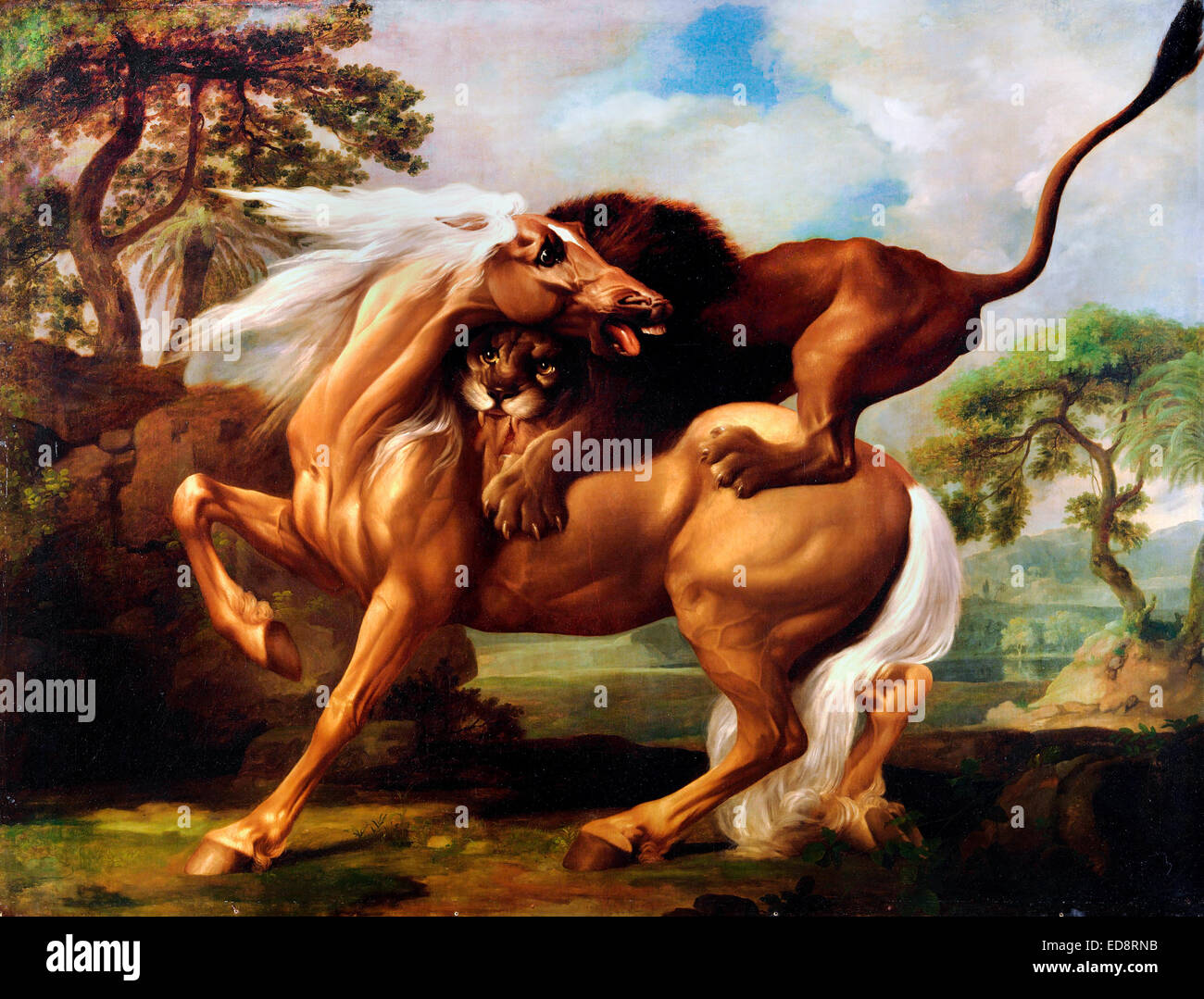 George Stubbs, un Lion attaquant un cheval 1762 Huile sur toile. Yale Center for British Art, New Haven, USA. Banque D'Images
