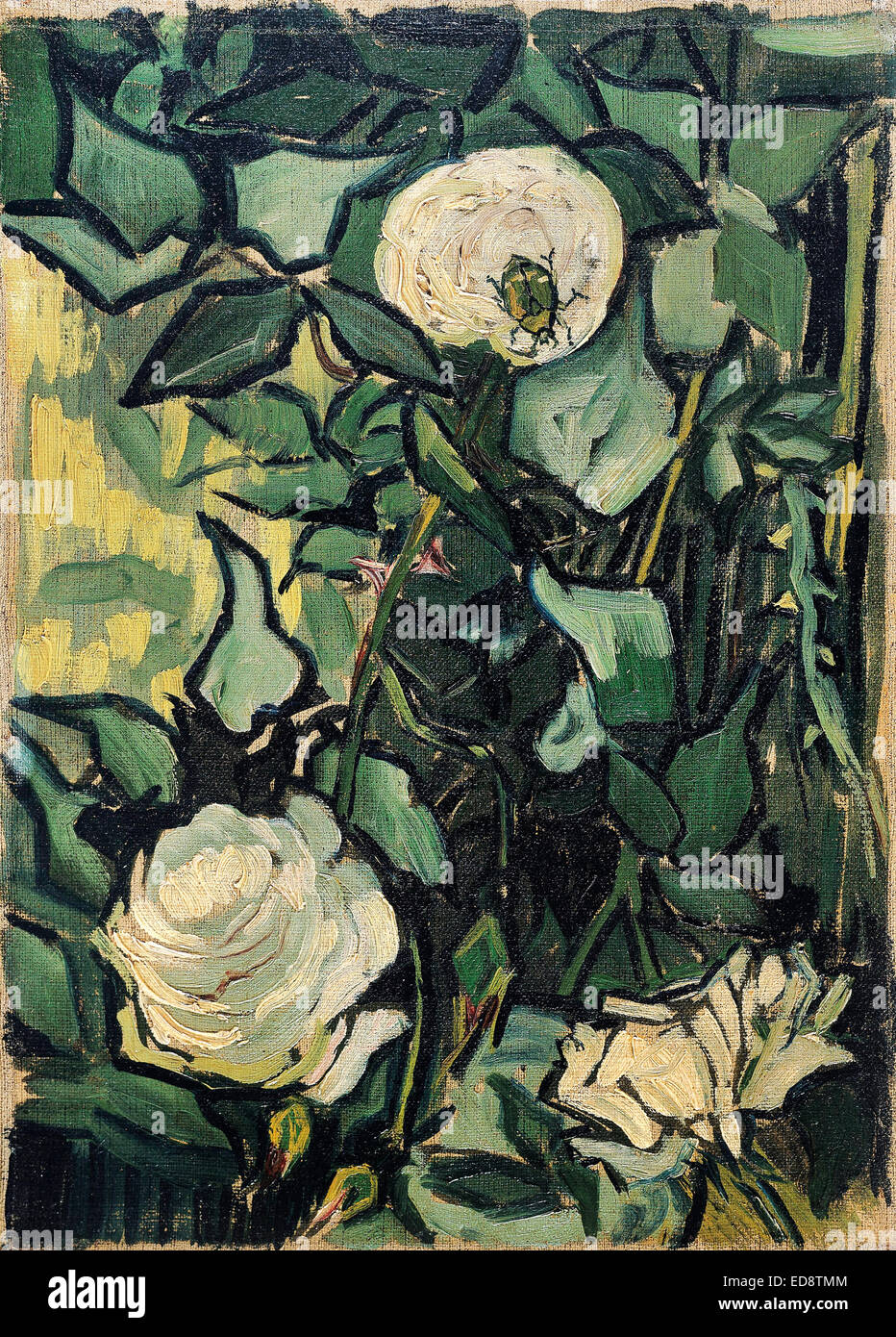 Vincent van Gogh, Roses et Beetle. 1890. Le postimpressionnisme. Huile sur toile. Van Gogh Museum, Amsterdam, Pays-Bas. Banque D'Images