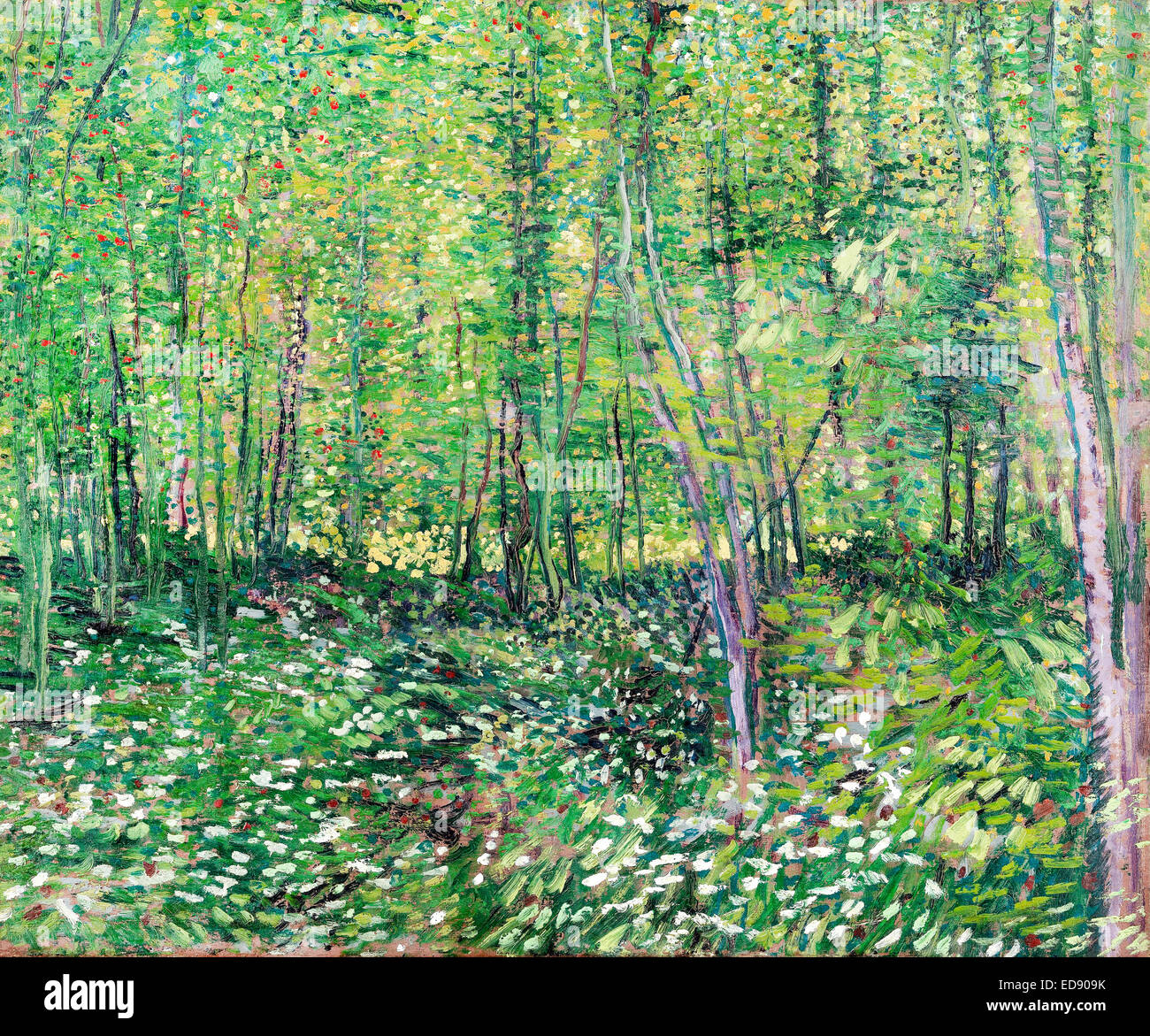 Vincent van Gogh, arbres et sous-Bois 1887 le postimpressionnisme. Huile sur toile. Van Gogh Museum, Amsterdam, Pays-Bas. Place o Banque D'Images