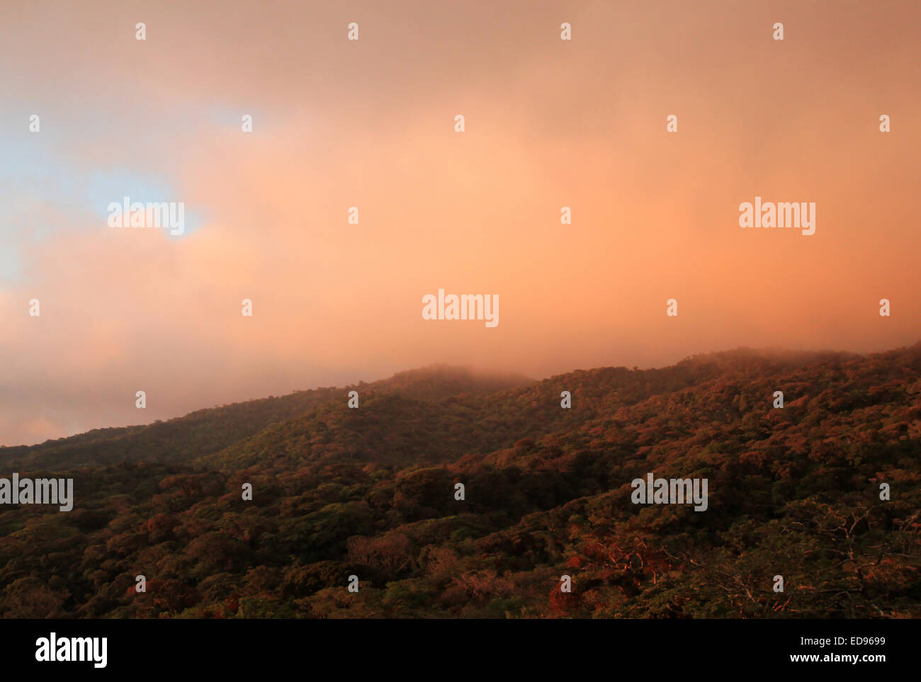 Coucher de soleil sur la forêt de nuages de Monteverde, Costa Rica Banque D'Images