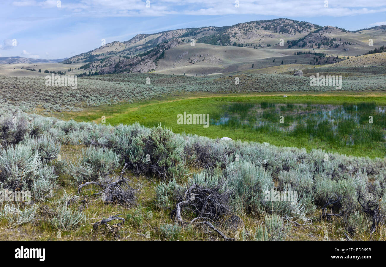 Le Parc National de Yellowstone sur une journée ensoleillée montrant les montagnes, l'aride paysage vallonné et dispersés le bush. Banque D'Images