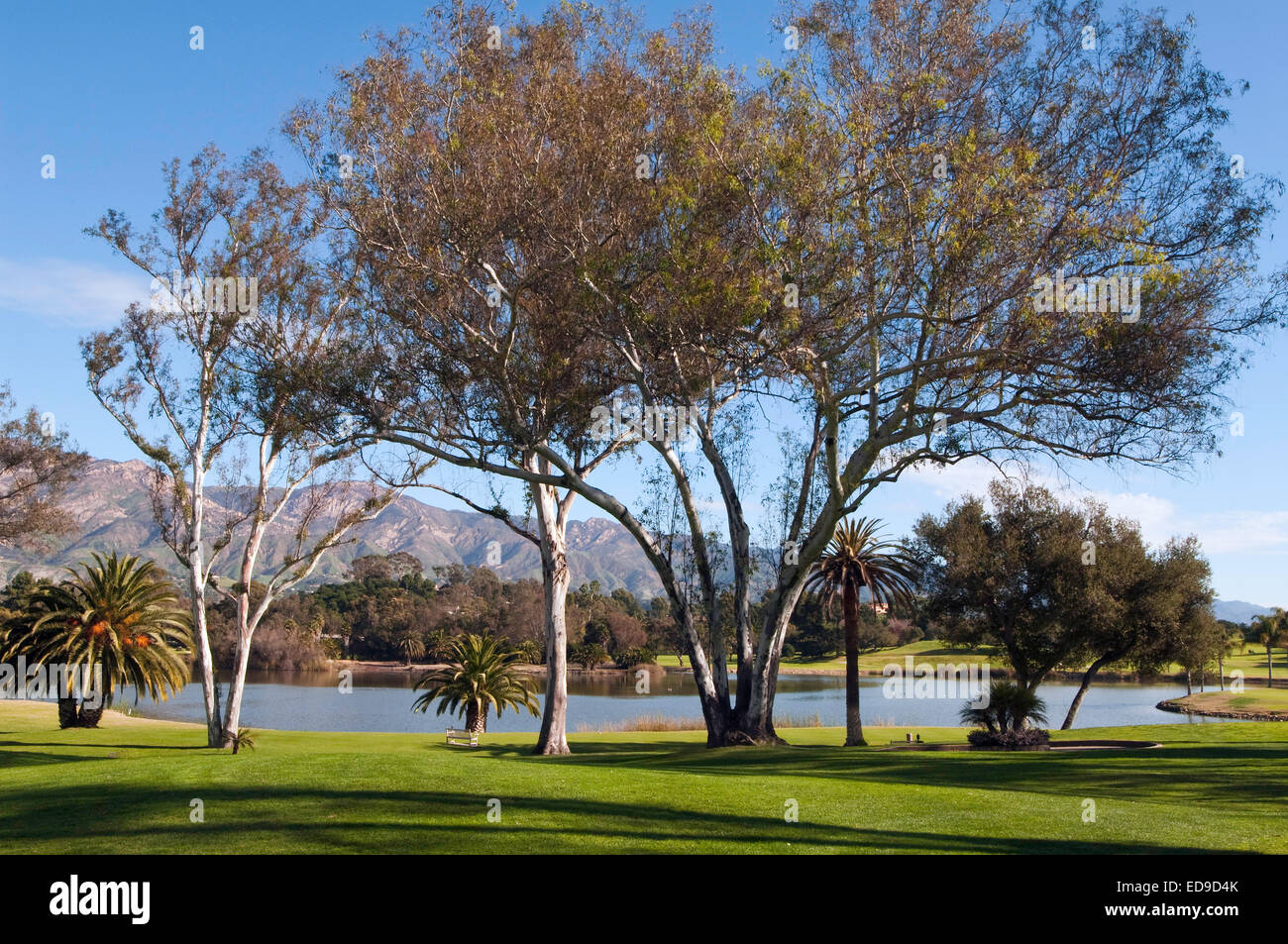 Hope Ranch Golf Course, Santa Barbara, Californie Banque D'Images