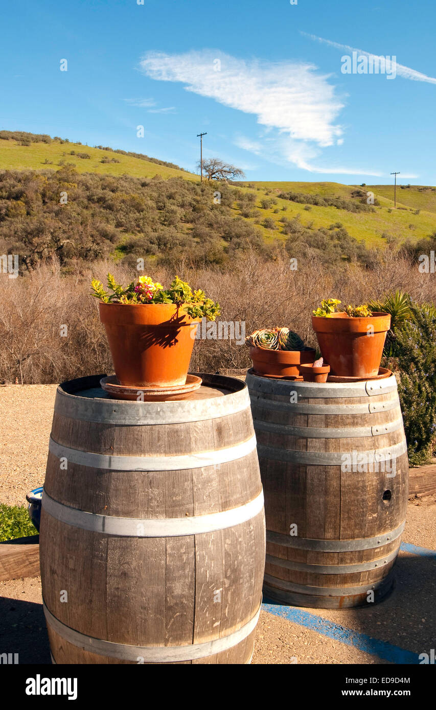 Vignobles de coeur Lovey Dovey, Santa Cruz Mountains, en Californie Banque D'Images