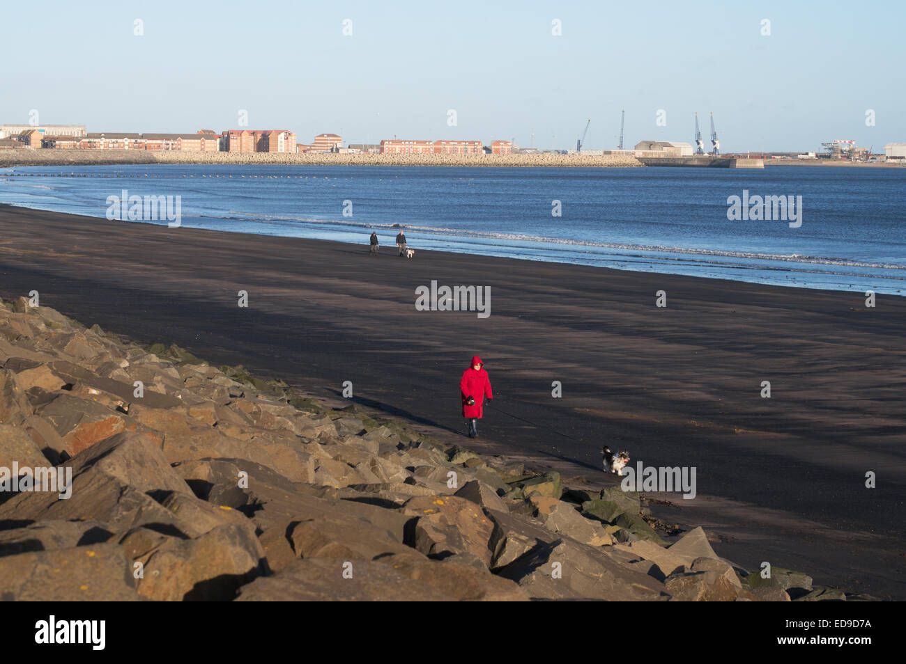 Woman walking dog le long de la plage couverte de poussière de charbon, Hartlepool, Angleterre du Nord-Est, Royaume-Uni Banque D'Images