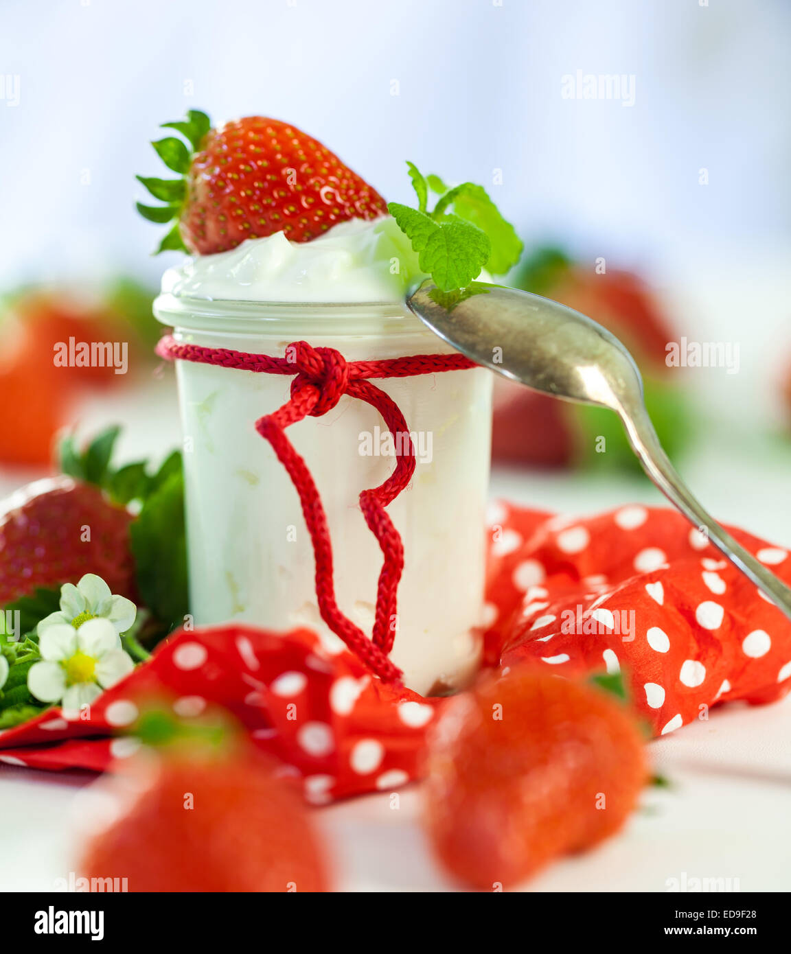 La ferme rouge frais mûrs fraises avec un bocal en verre de yaourt sain servi sur un pays rouge à pois pour une serviette deli Banque D'Images