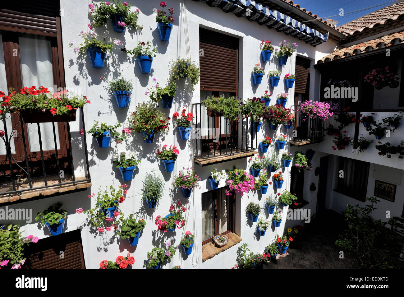 Cour intérieure pendant le Festival des patios (el Festival de Los Patios Cordobeses), Cordoue, Espagne Banque D'Images