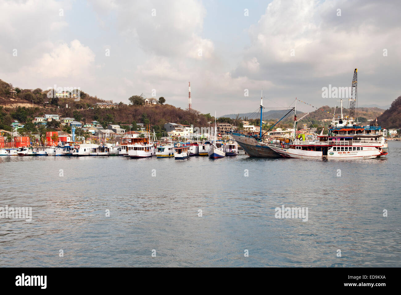 La ville et le port de Labuan Bajo sur l'île de Flores, à l'Est de Nusa Tenggara, en Indonésie. Banque D'Images