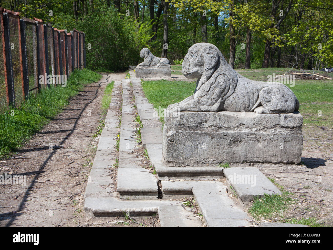 Les statues des lions, Gatchina, Oblast de Léningrad, en Russie. Banque D'Images