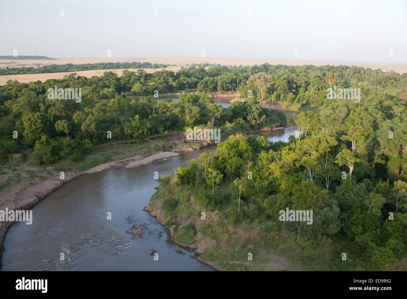 Vue aérienne de la rivière Mara Banque D'Images