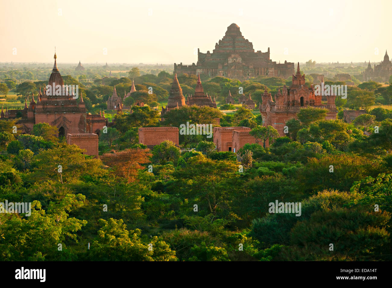 Silhouette de Pagodes au lever du soleil, Plaine de Bagan, Myanmar. Banque D'Images