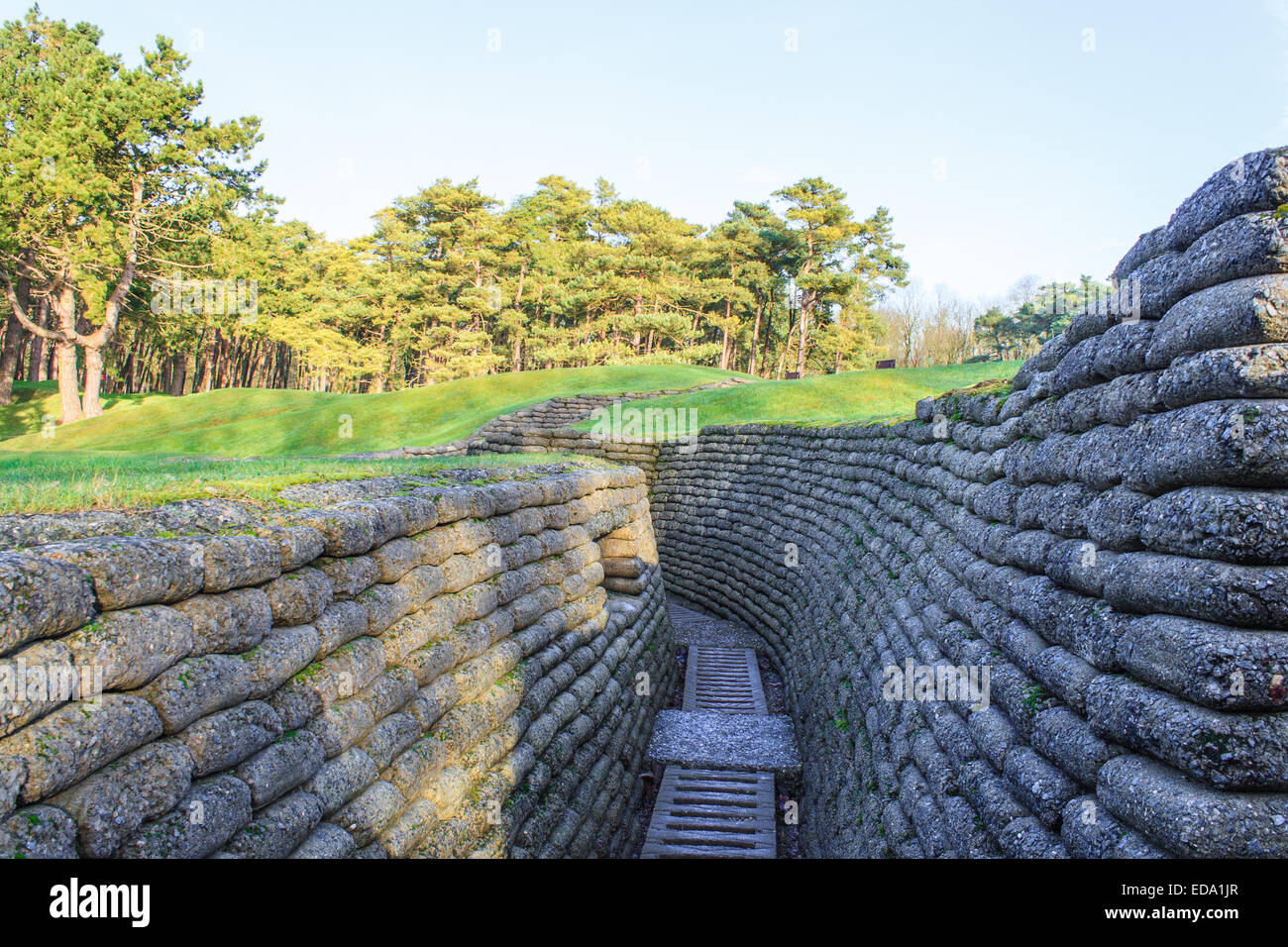 Les tranchées sur le champ de bataille de la crête de Vimy, France Banque D'Images