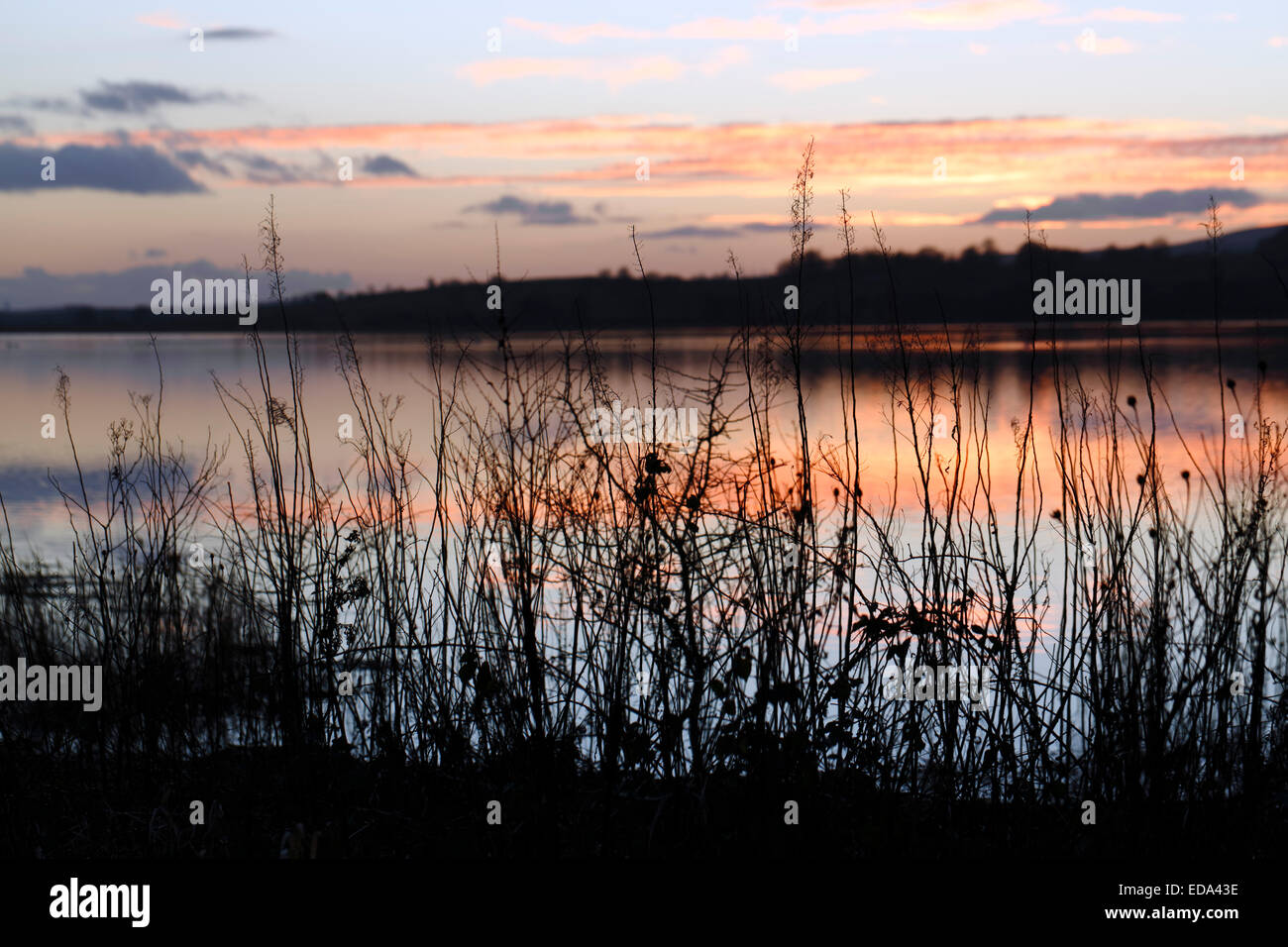 Lochwinnoch, Renfrewshire, Écosse, Royaume-Uni, samedi 3 janvier 2015. Coucher de soleil sur le Loch Barr après une journée froide mais ensoleillée Banque D'Images