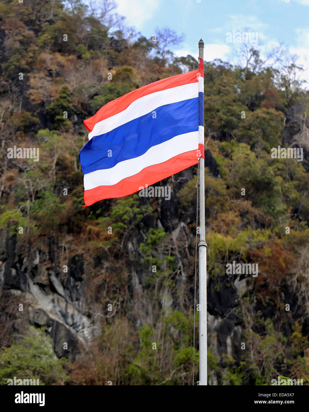 Le drapeau de la Thaïlande sur le fond de la jungle et le bleu du ciel Banque D'Images