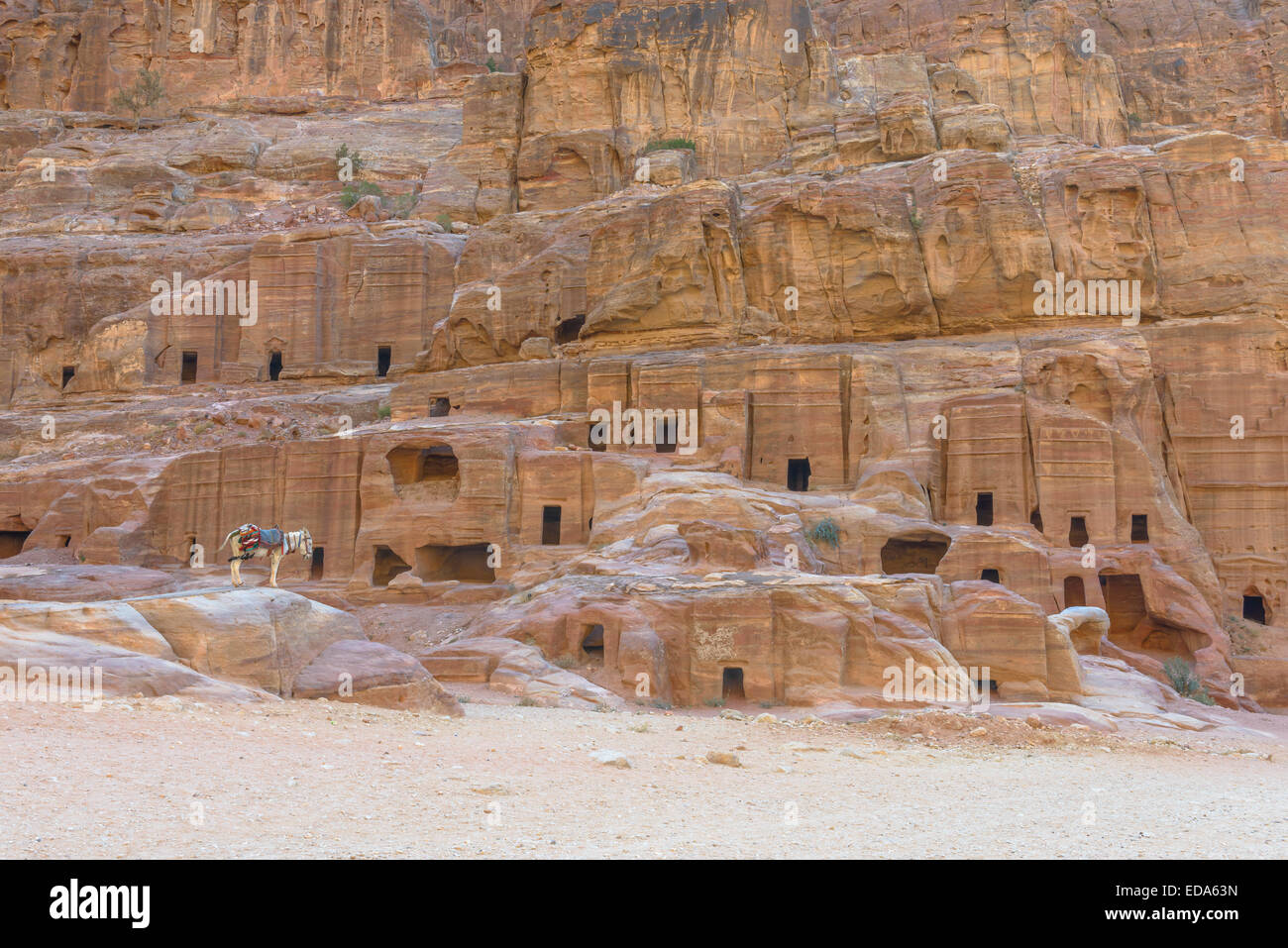 Maisons anciennes sur la rue façade à Pétra creusée dans la roche en Jordanie Banque D'Images