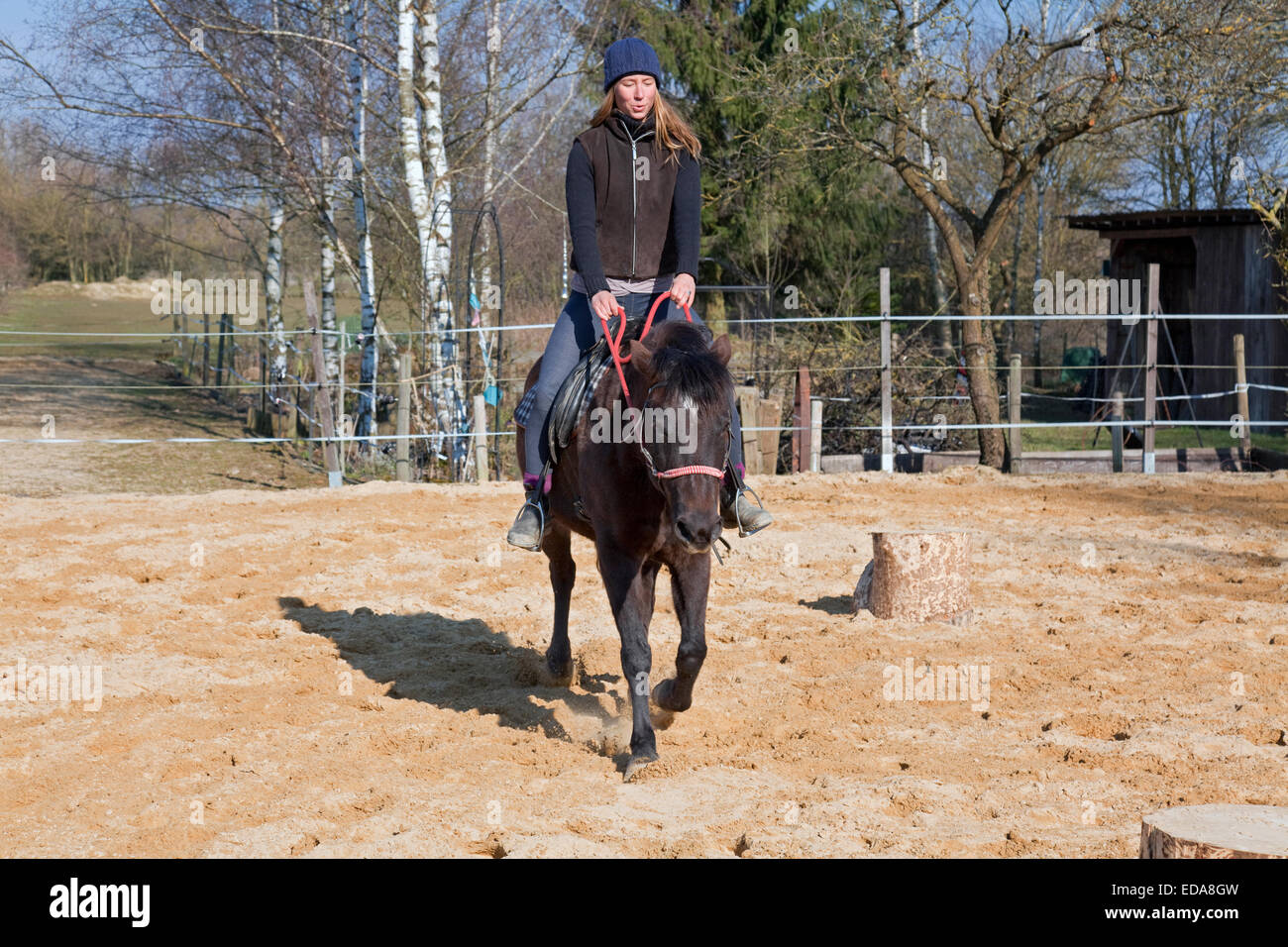 Woman riding a bay pony, Limpach, Luxembourg Banque D'Images