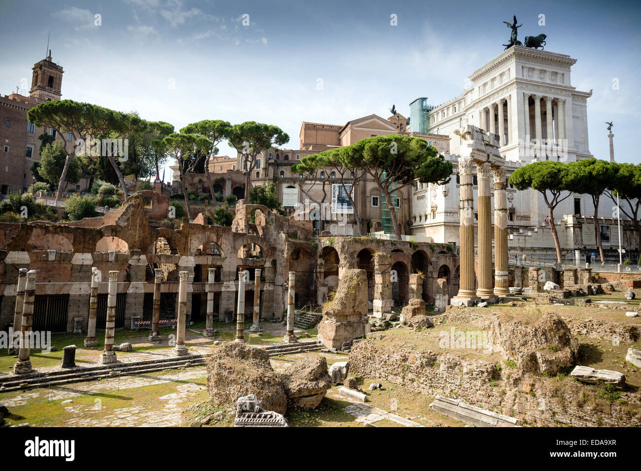 Ruines de Palatin Forum Romanum, Rome, Latium, Italie, Europe Banque D'Images
