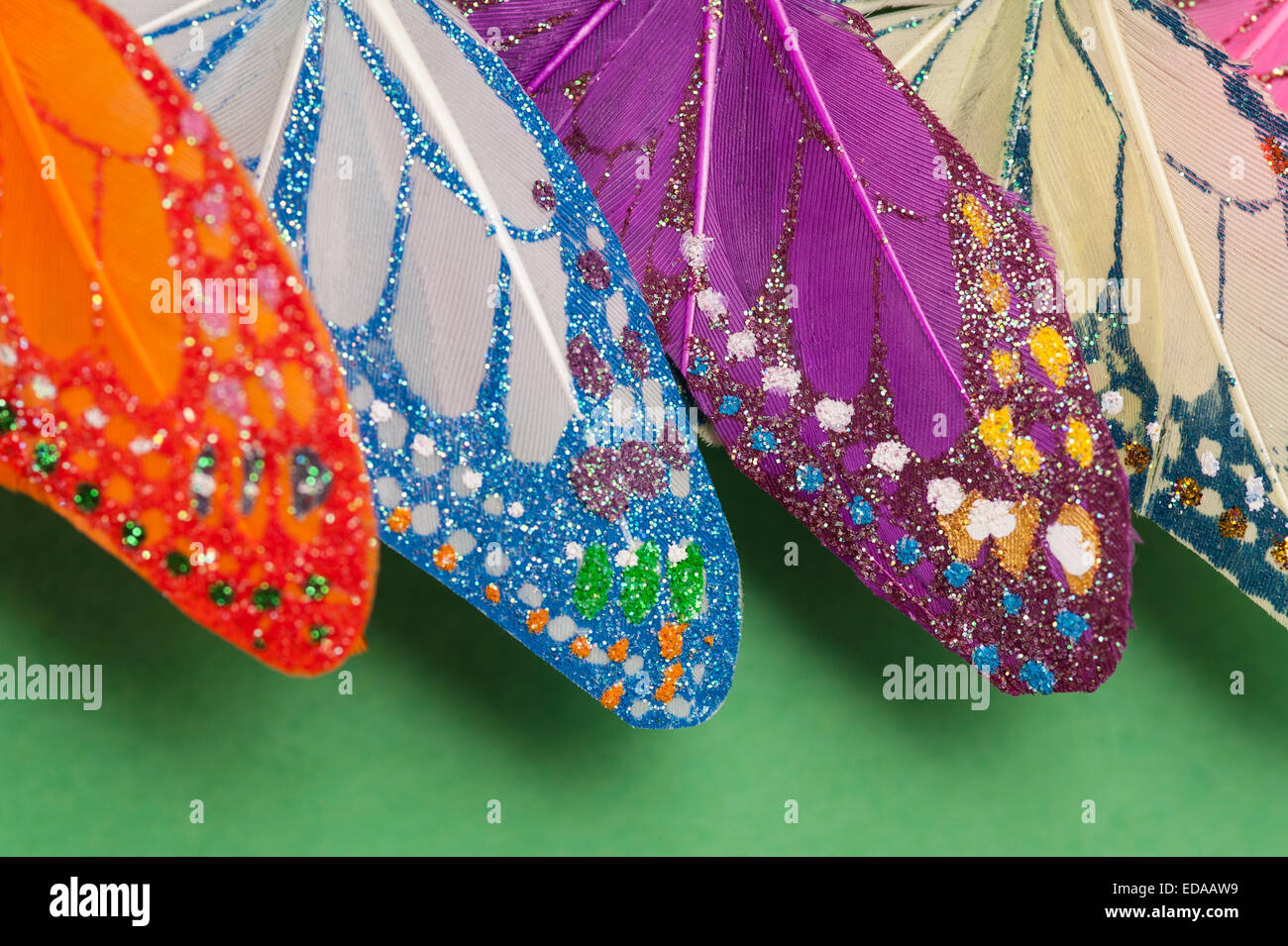 Le plumage des oiseaux décorés de motifs colorés Banque D'Images