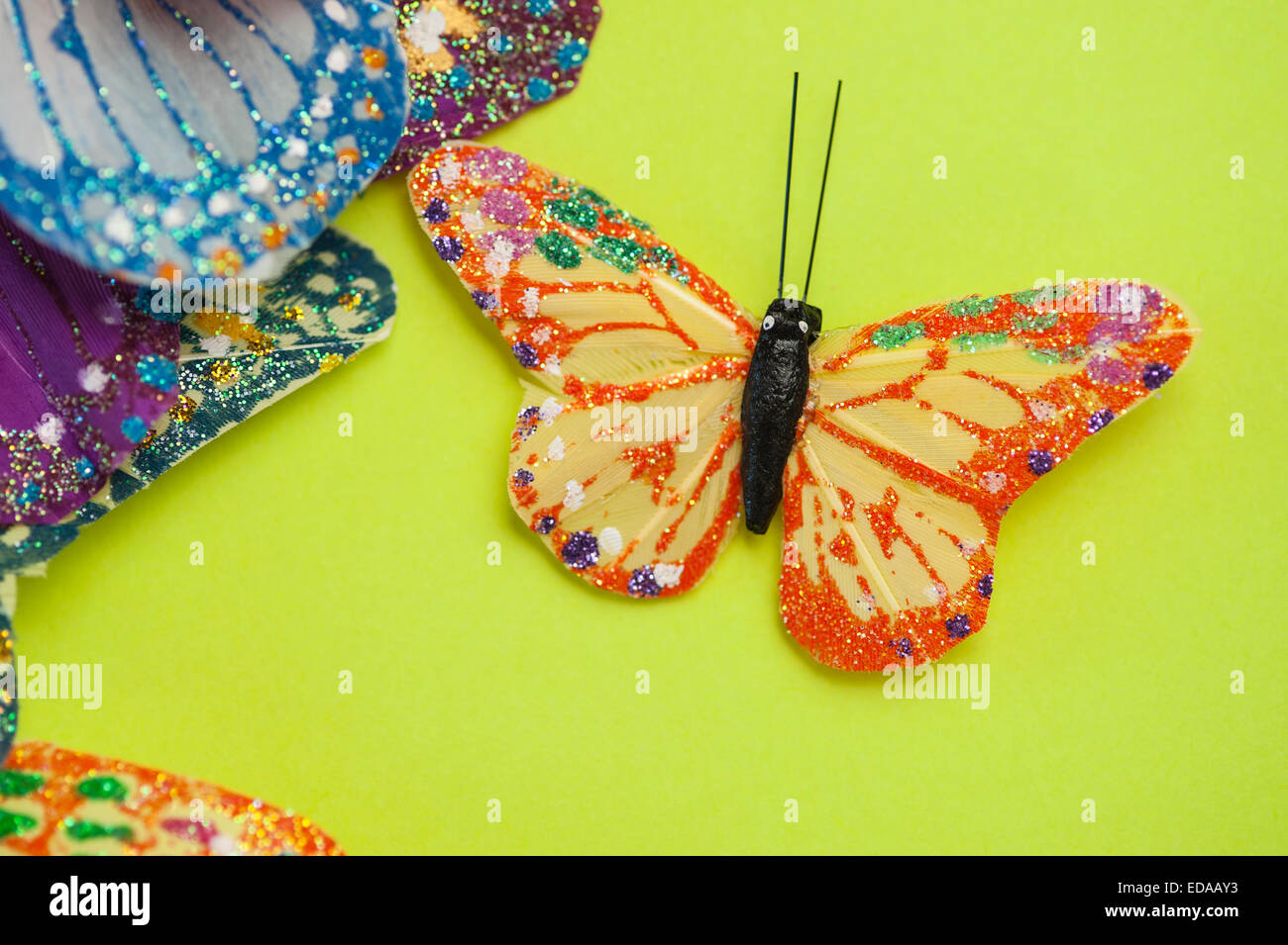 Papillon à la main avec des motifs et dessins sur les ailes Banque D'Images