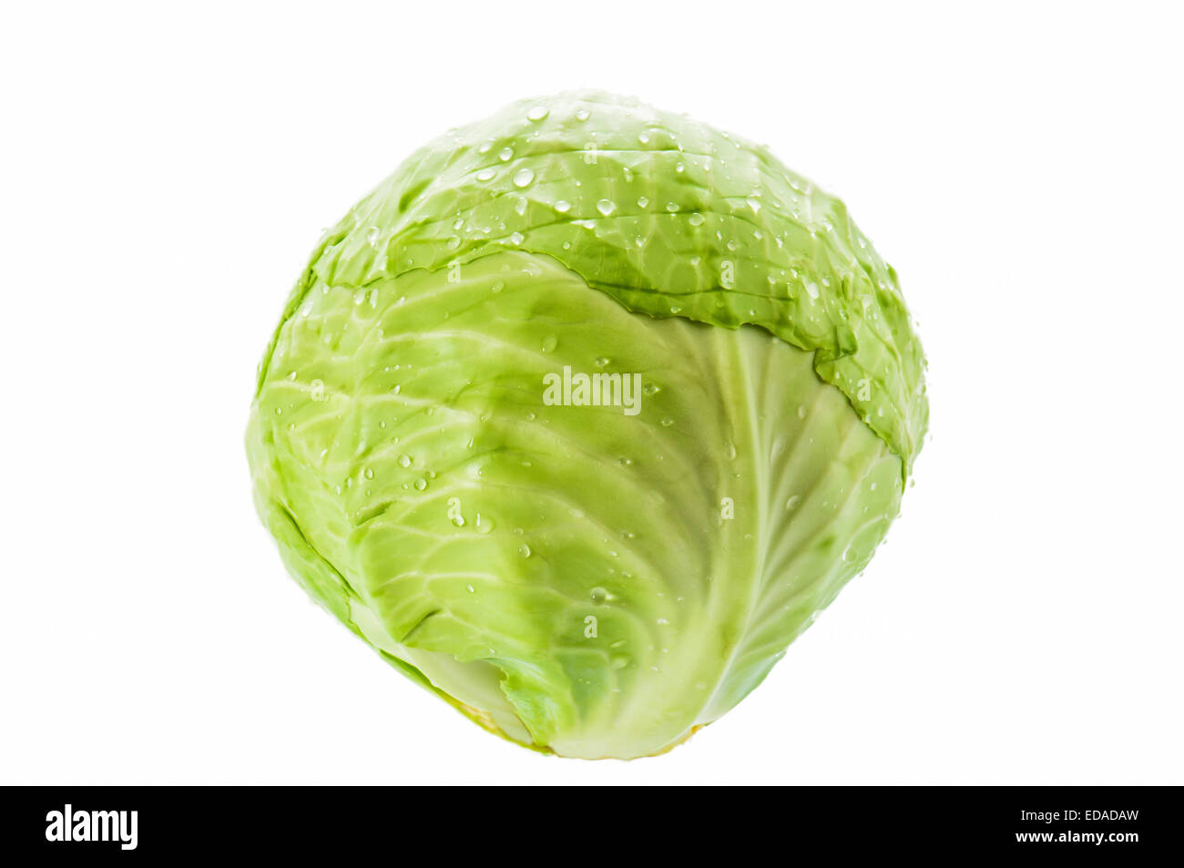 Ensemble de chou vert sur fond blanc Banque D'Images