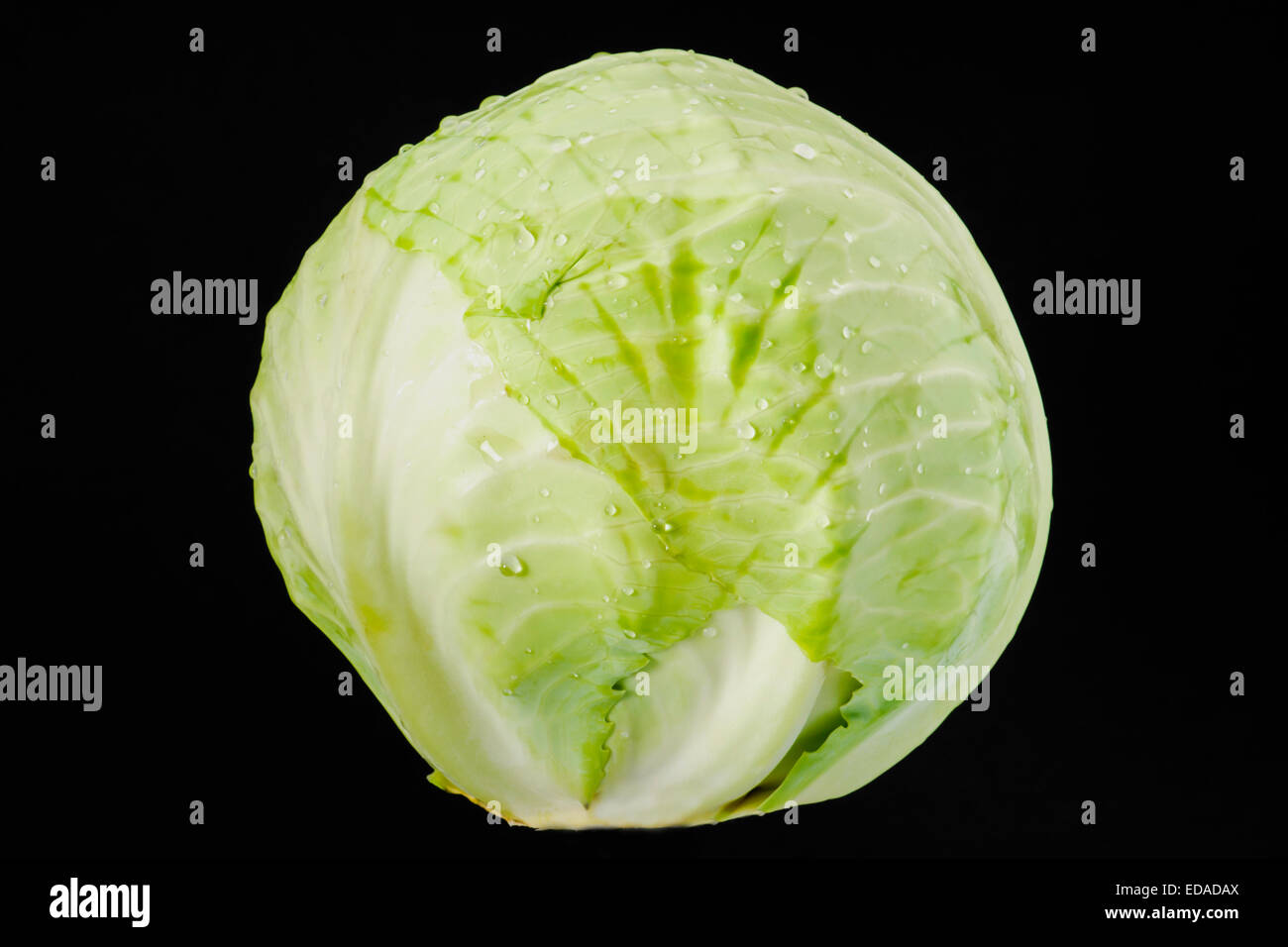 Ensemble de chou vert sur fond noir Banque D'Images