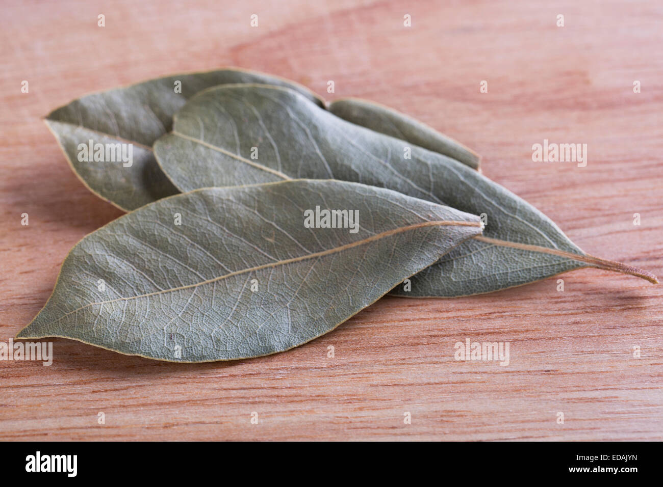 Les feuilles de laurier séchées sur planche de bois. Banque D'Images