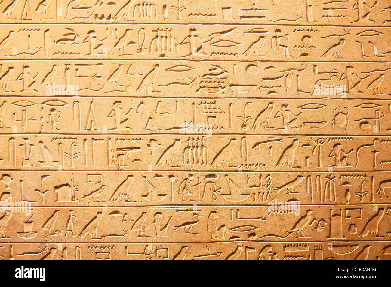 Les hiéroglyphes égyptiens sur le mur Photo Stock - Alamy