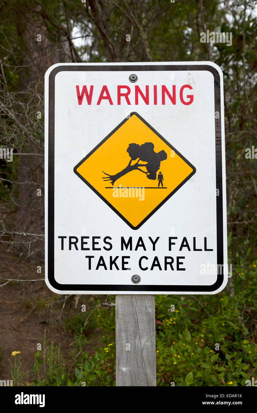 Panneau d'avertissement pour des chutes d'arbres dans la région de Victoria, Australie Banque D'Images
