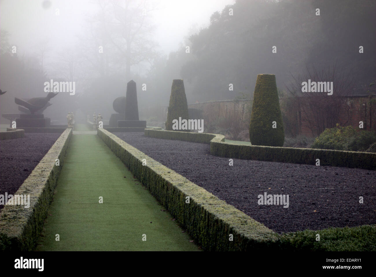 Woodland - avenue de tilleul et d'autre de la route principale à la Chambre. Cliveden est titulaire d'une partie de la collection nationale de protection des végétaux Banque D'Images