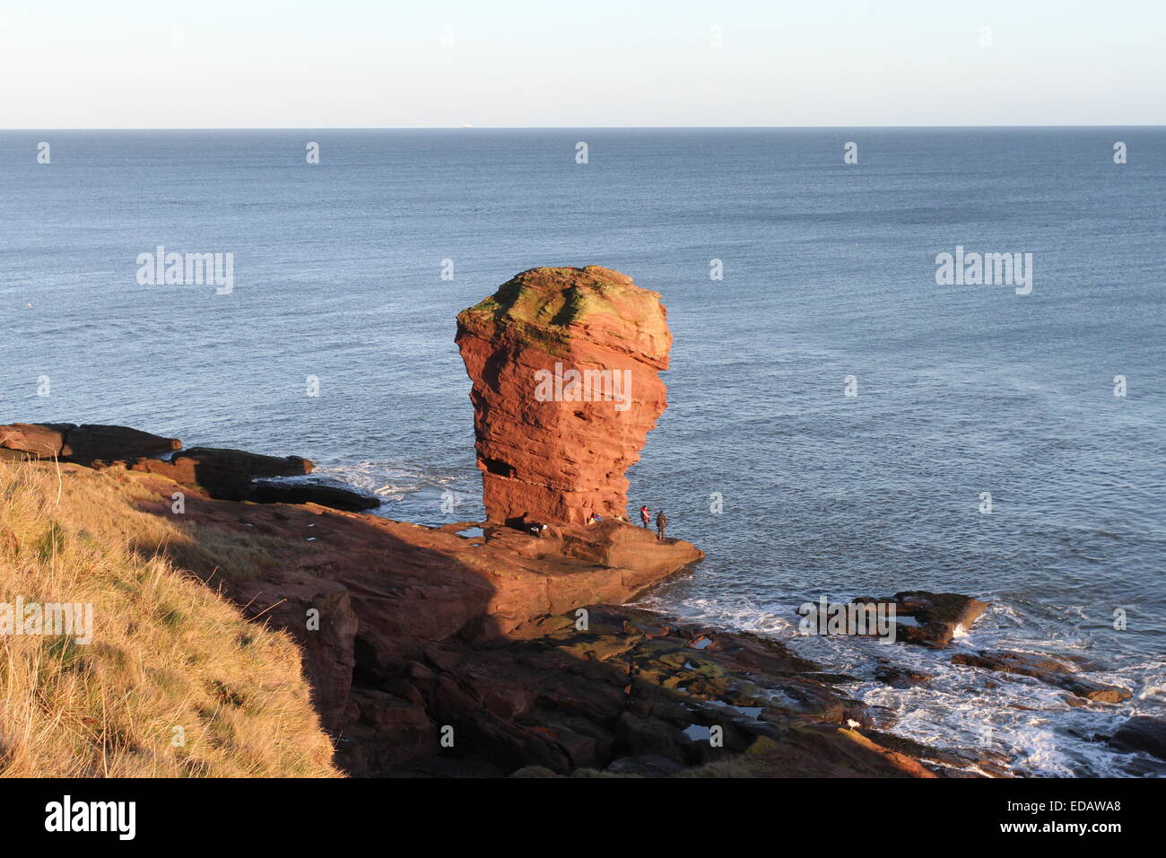 Deil's heid pile mer près de arbroath angus scotland mars 2015 Banque D'Images