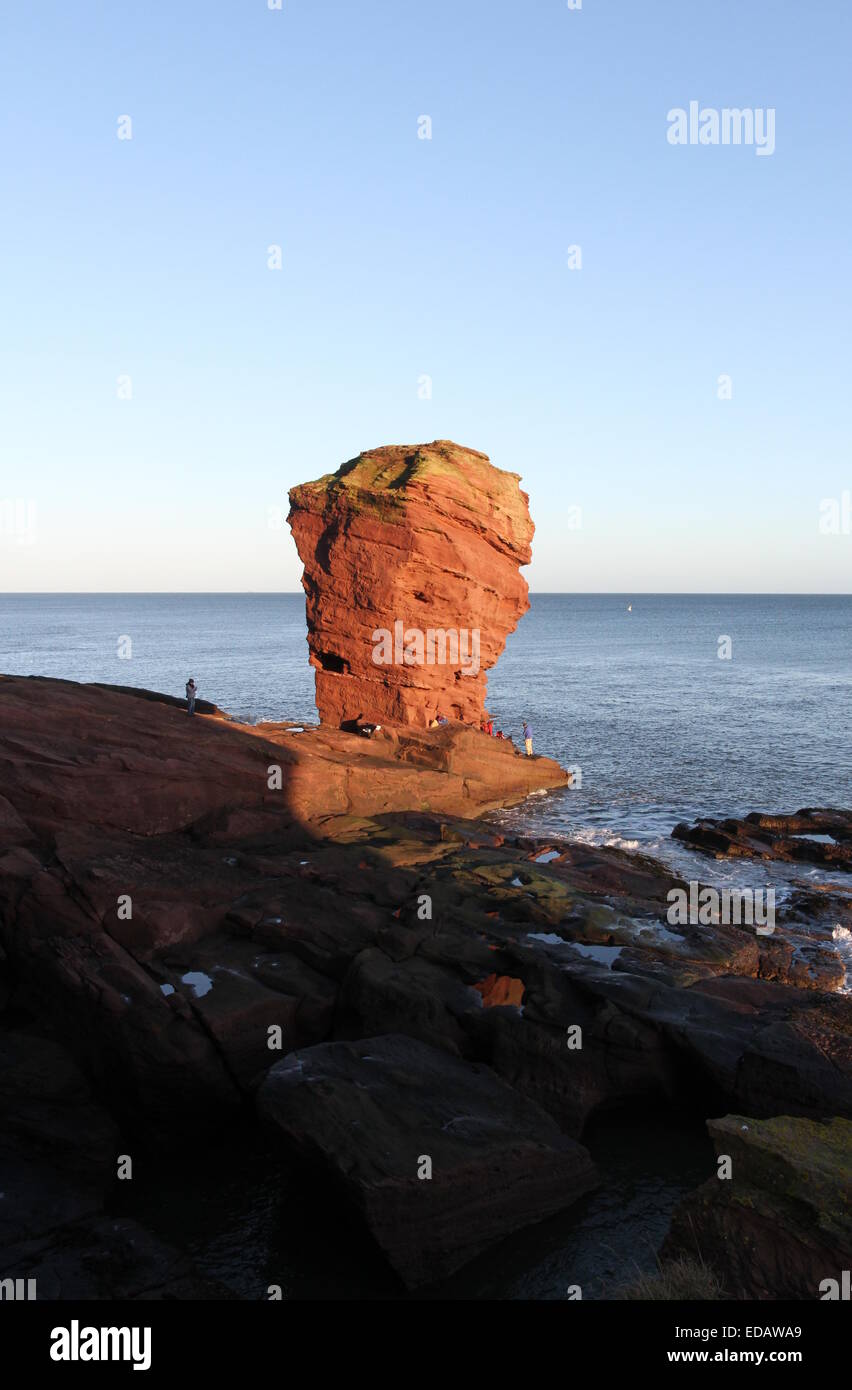 Deil's Heid pile mer près de Arbroath Angus Scotland Mars 2014 Banque D'Images