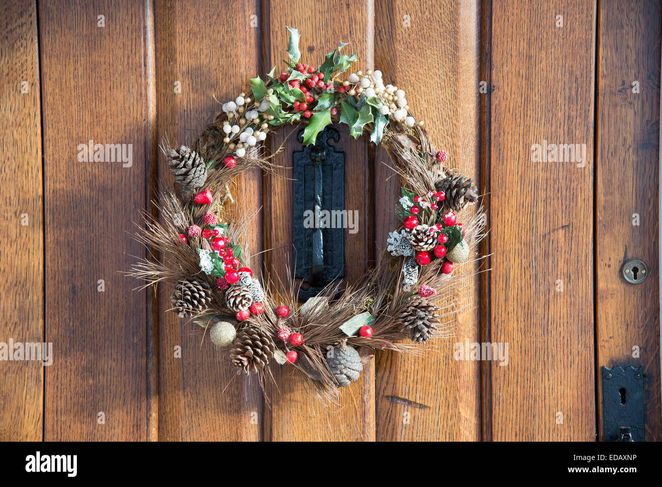 Guirlande décorative de pommes de pins et les baies de houx sur une porte en chêne à Noël Banque D'Images