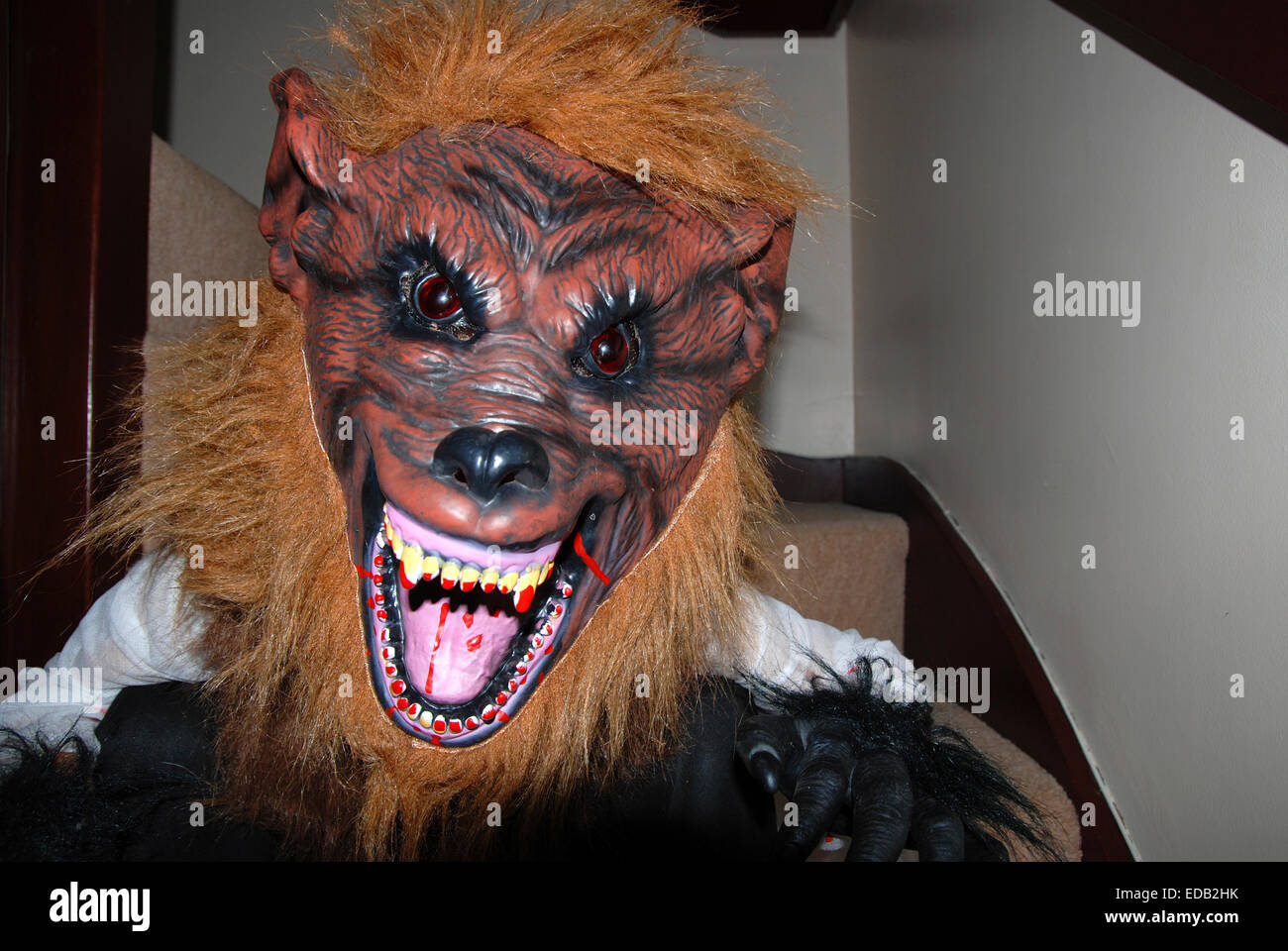 Un enfant dans un masque de l'homme loup halloween Banque D'Images