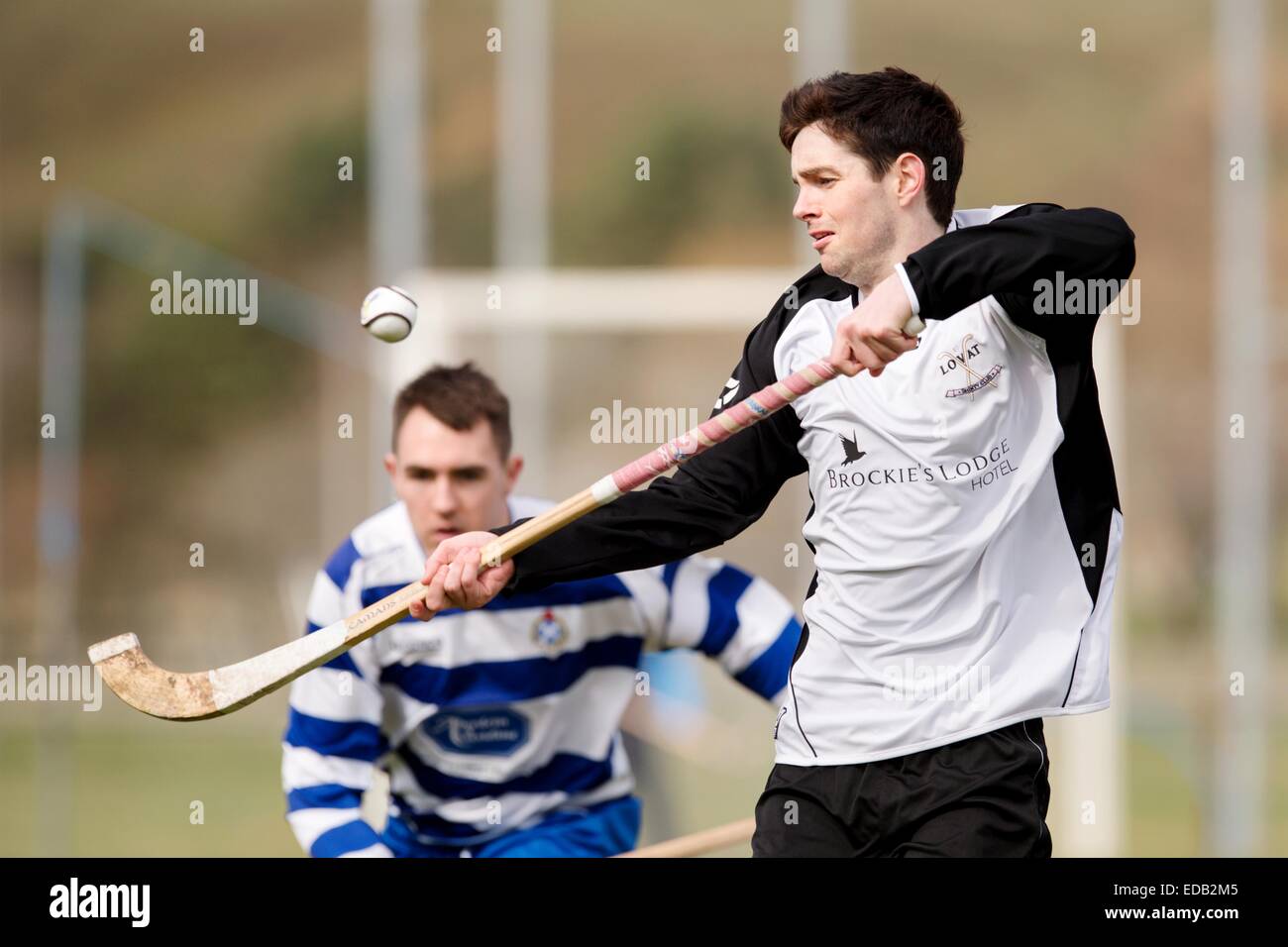 Le Lovat Calum MacAulay contrôle le ballon pendant le jeu. Newtonmore Shinty v dans le Lovat Premier League, joué à l'Eilan, Banque D'Images