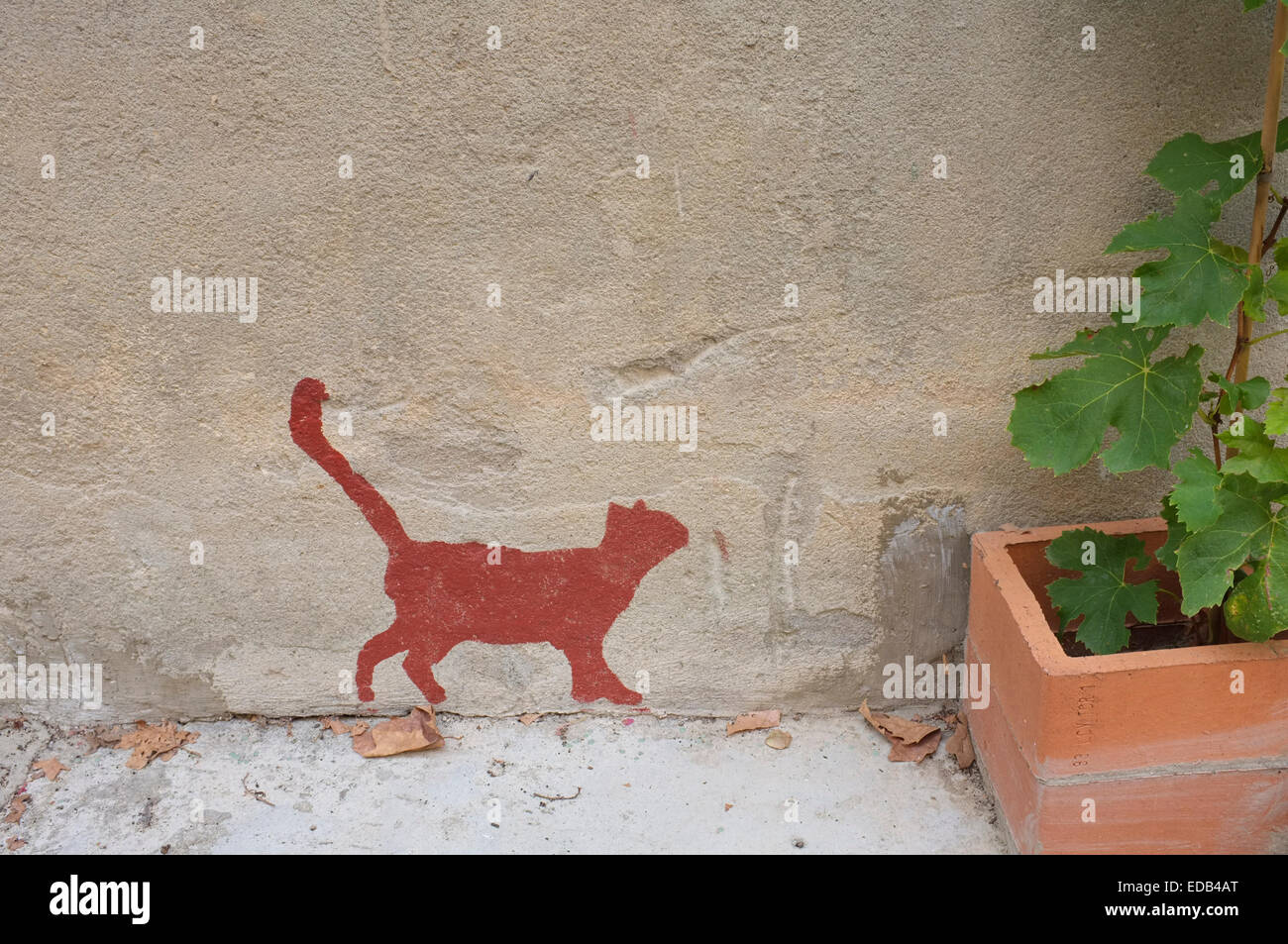 Peinture murale d'un chat. Buis-les-Baronnies, Drôme, France. Banque D'Images