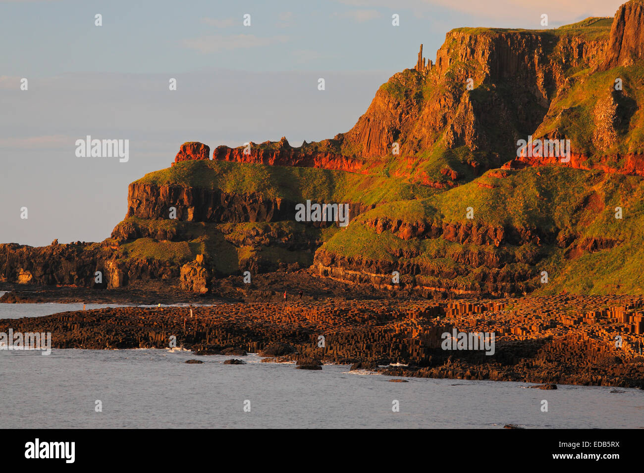 Le Giant's Causeway, l'Irlande du Nord Banque D'Images