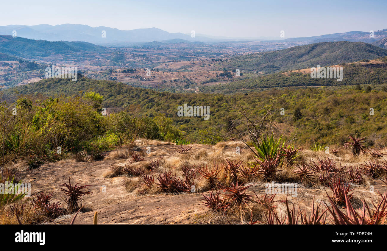 HHOHHO, SWAZILAND, AFRIQUE - paysage Banque D'Images