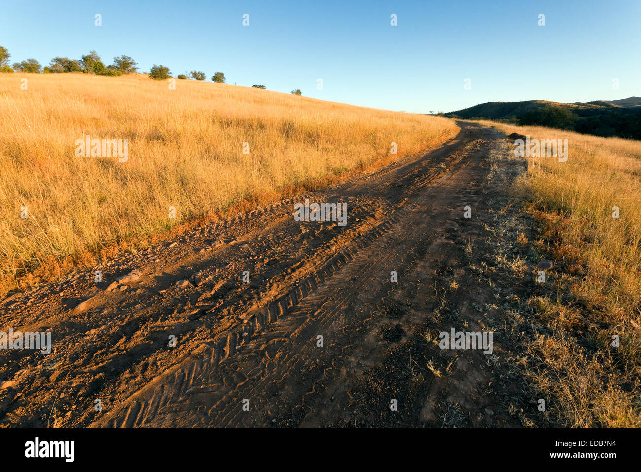 Route de campagne, dans le comté de Santa Cruz, en Arizona Banque D'Images