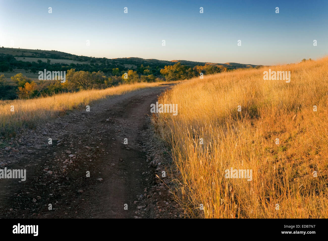 Route de campagne, dans le comté de Santa Cruz, en Arizona Banque D'Images