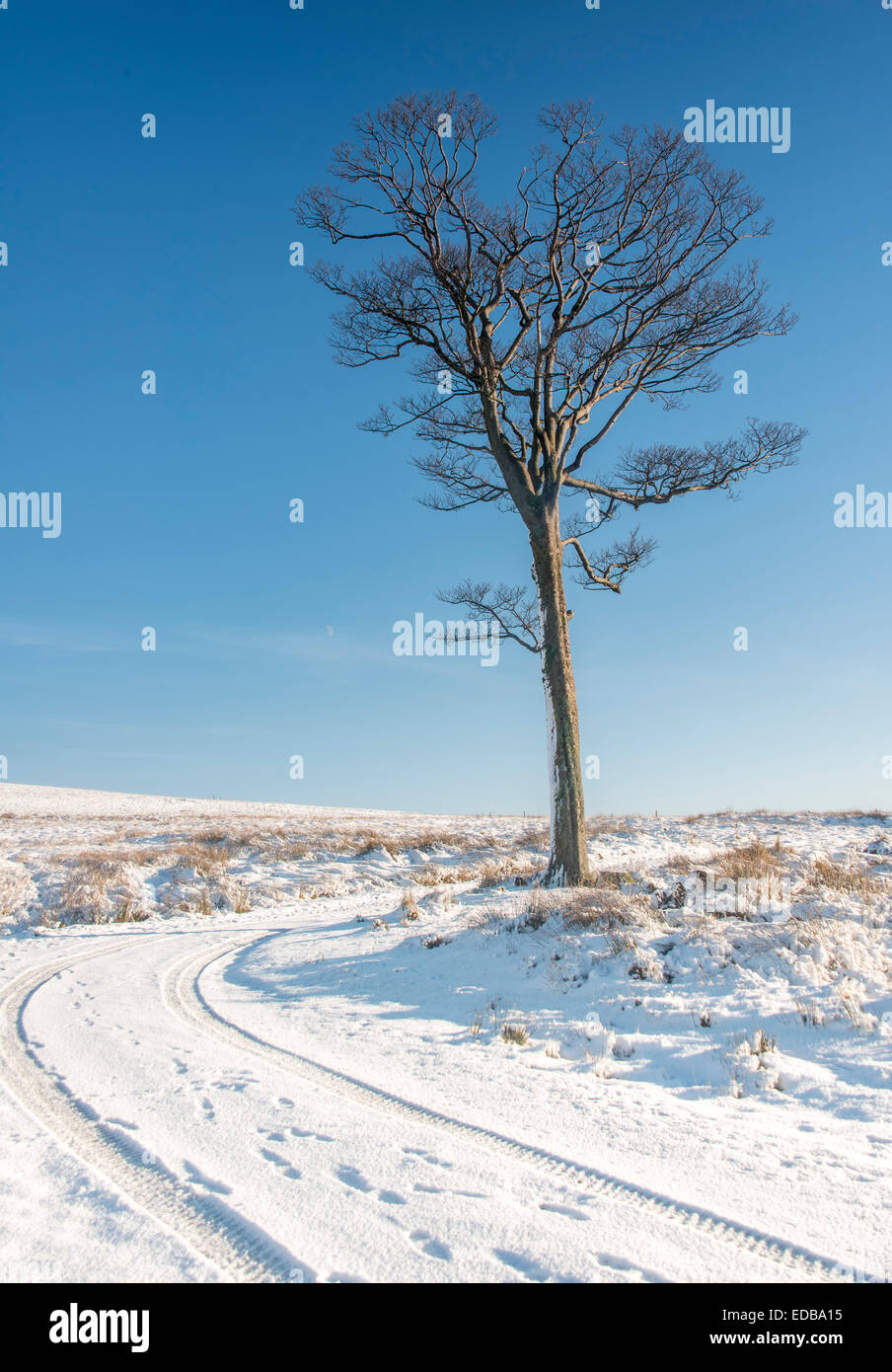 La lande du Nord de l'Angleterre sur l'un des hivers bleu clair jour. Banque D'Images