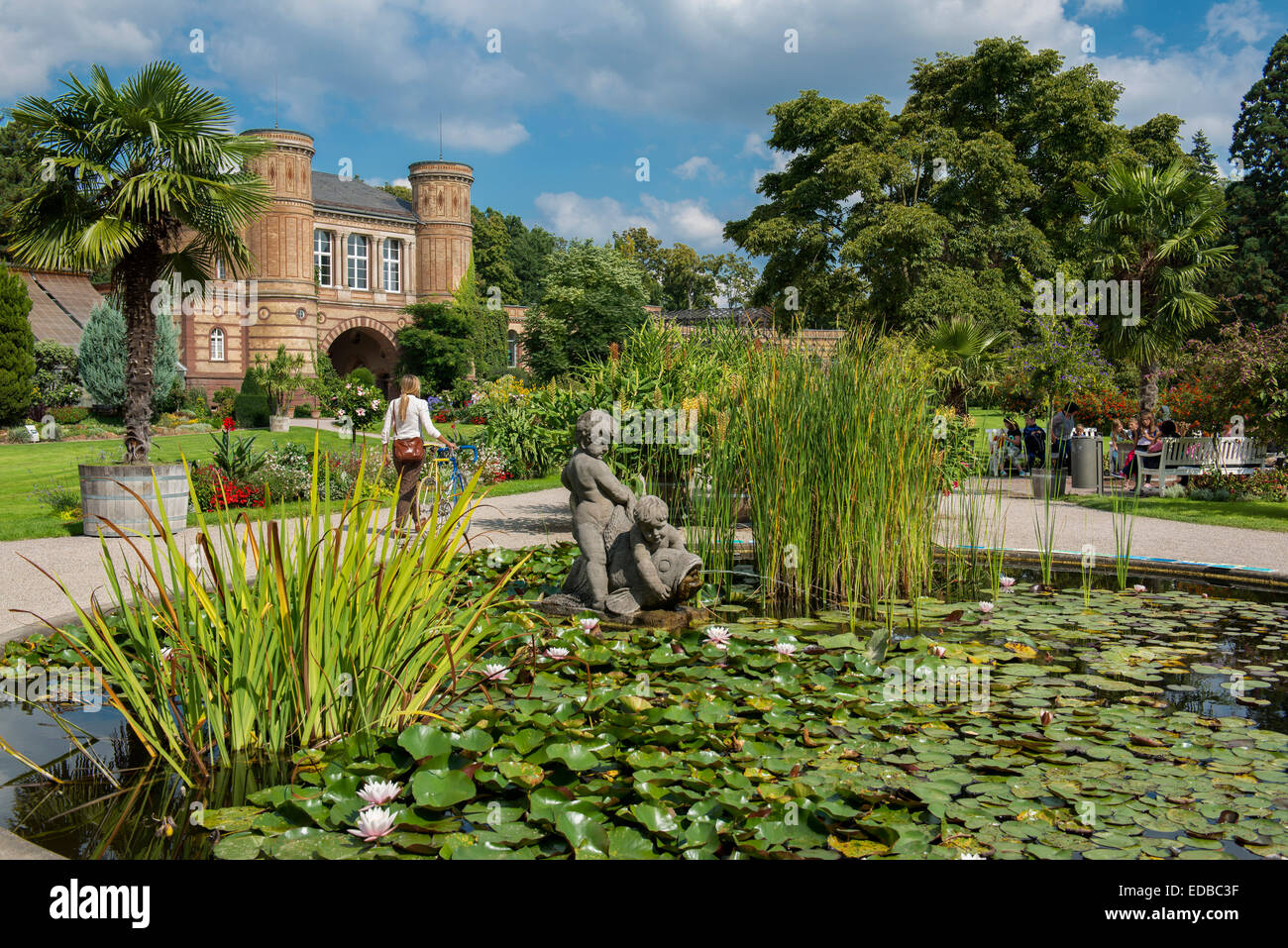 Jardins botaniques, Karlsruhe, Bade-Wurtemberg, Allemagne Banque D'Images