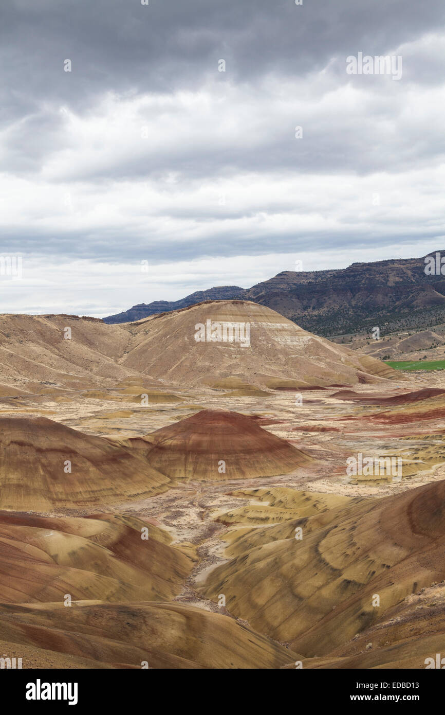 Une colline de la collines peintes, John Deer combustibles d'appoint, Oregon, United States Banque D'Images