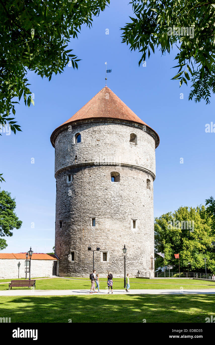 Tower Kiek in de Kök, remparts, Toompea, vieille ville, Tallinn, Estonie Banque D'Images