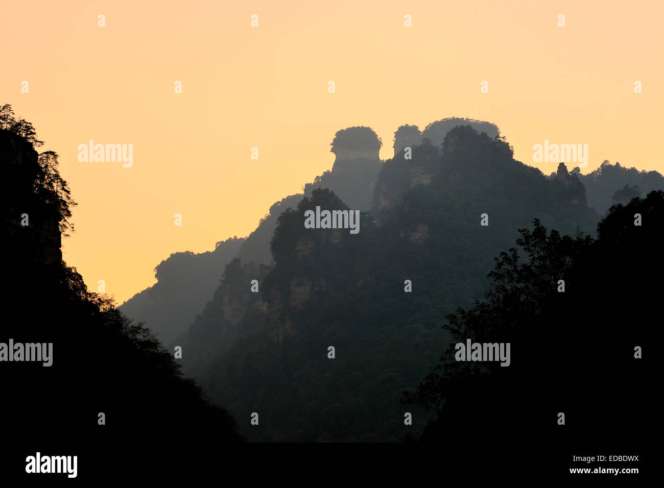 Rochers de grès dans le parc forestier national de Zhangjiajie, Province du Hunan, Chine Banque D'Images